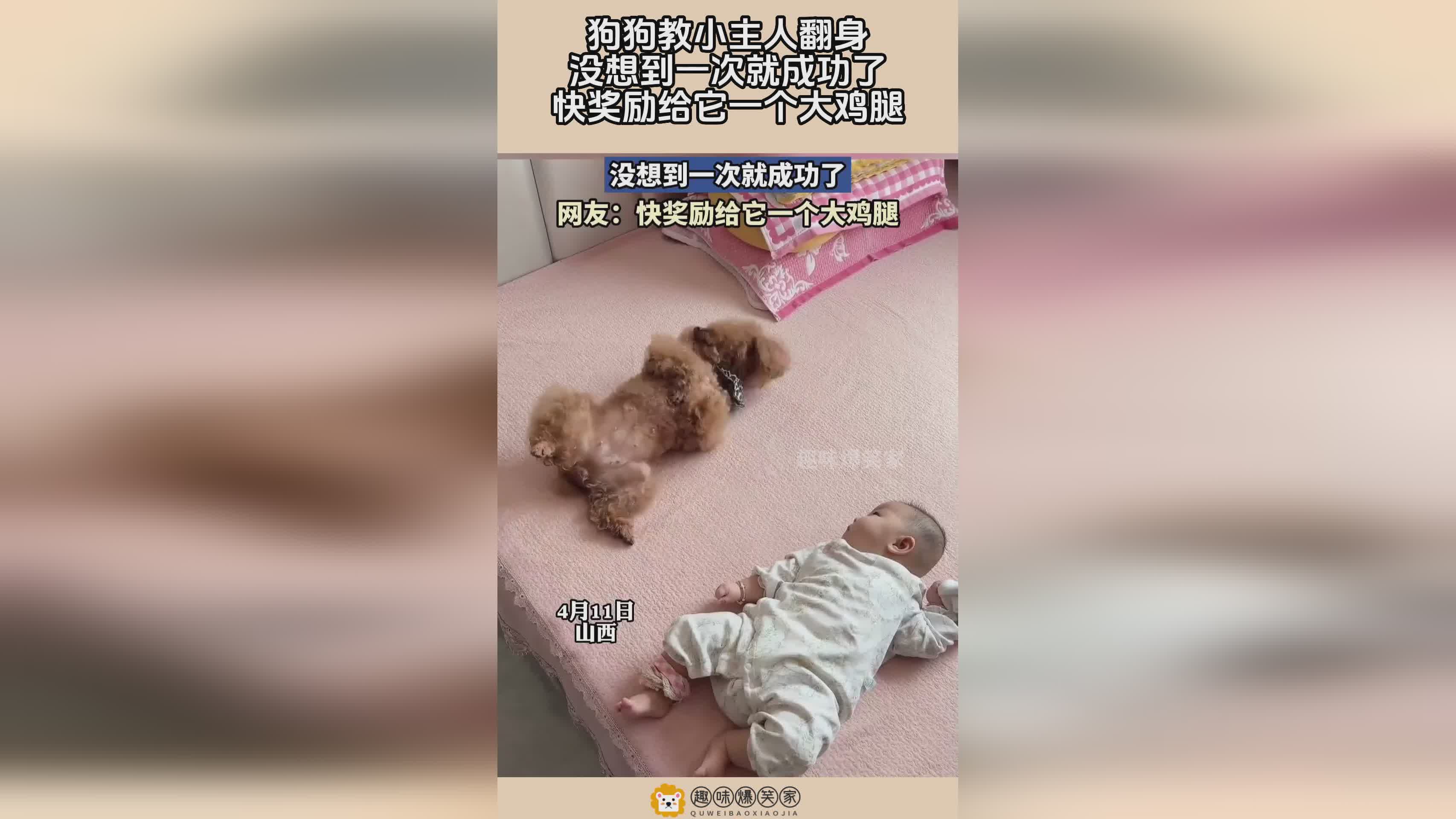 尤纳斯_再配合一个有实力的大R，再进阶一次就会变成炽火兽