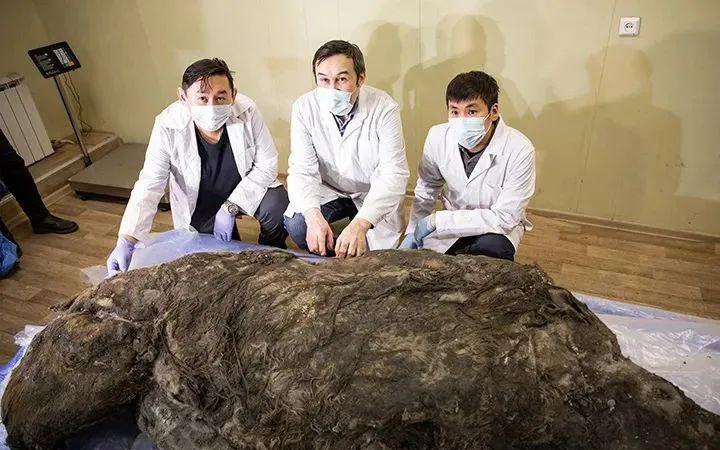 「冰封冻土」(冰封冻土攻略大全)