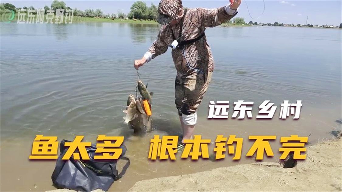 「远东哲罗鱼」(远东哲罗鱼在哪里钓)