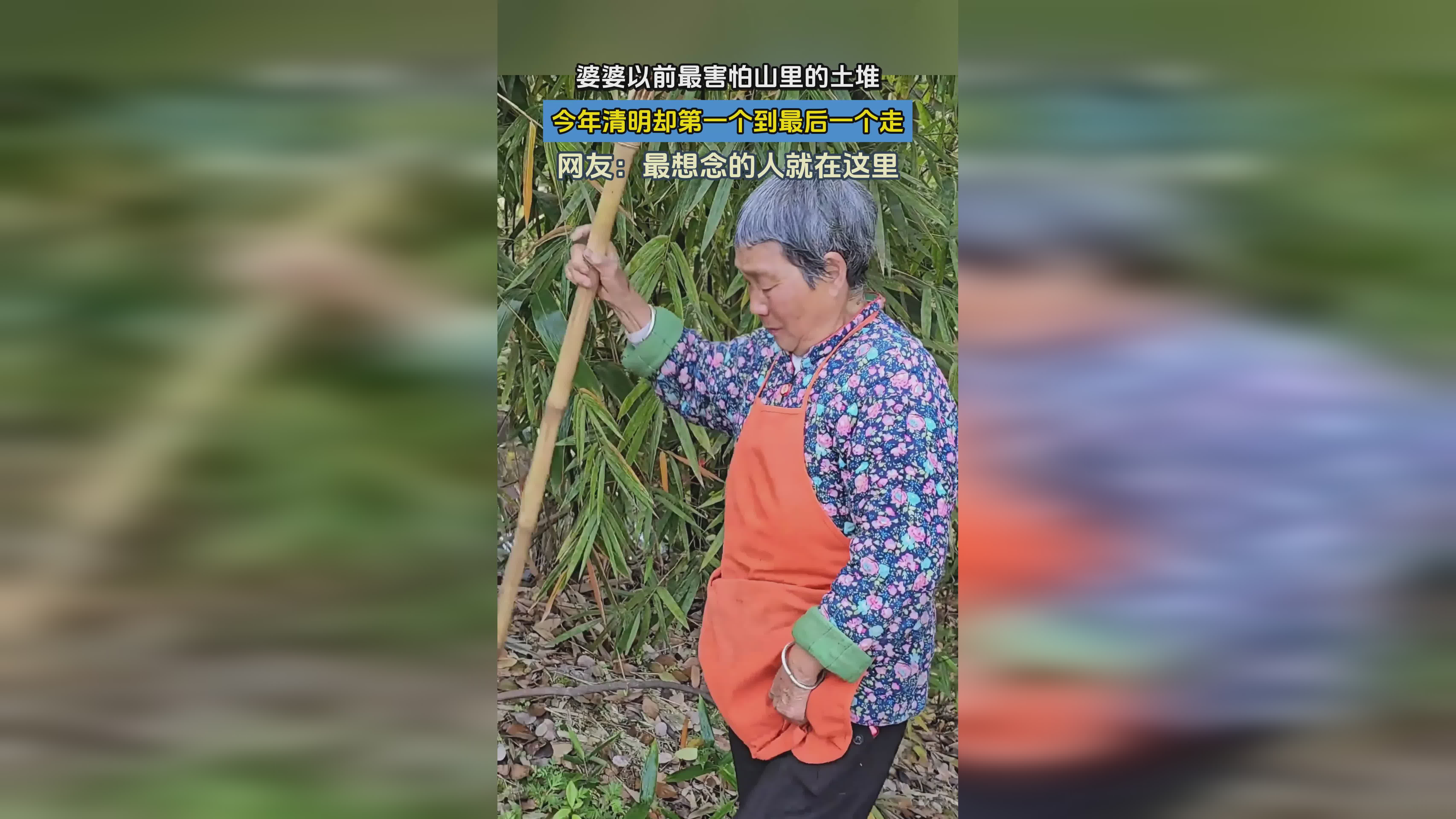 第一个和最后一个：只是难度比以前的要大了不少