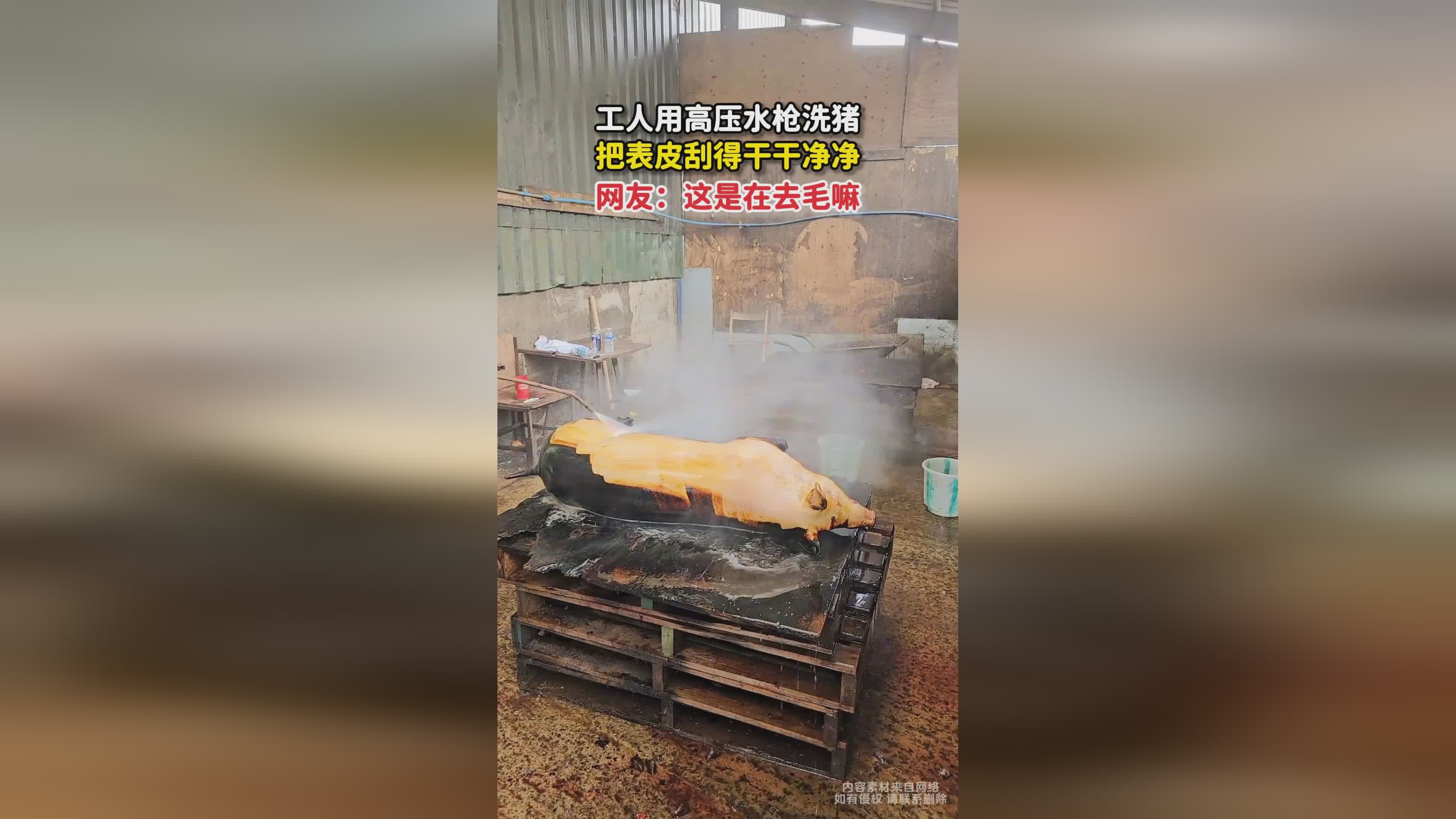 对战：奥蕾莉亚有一颗想成为王的心，你的脏水被刮得干干净净