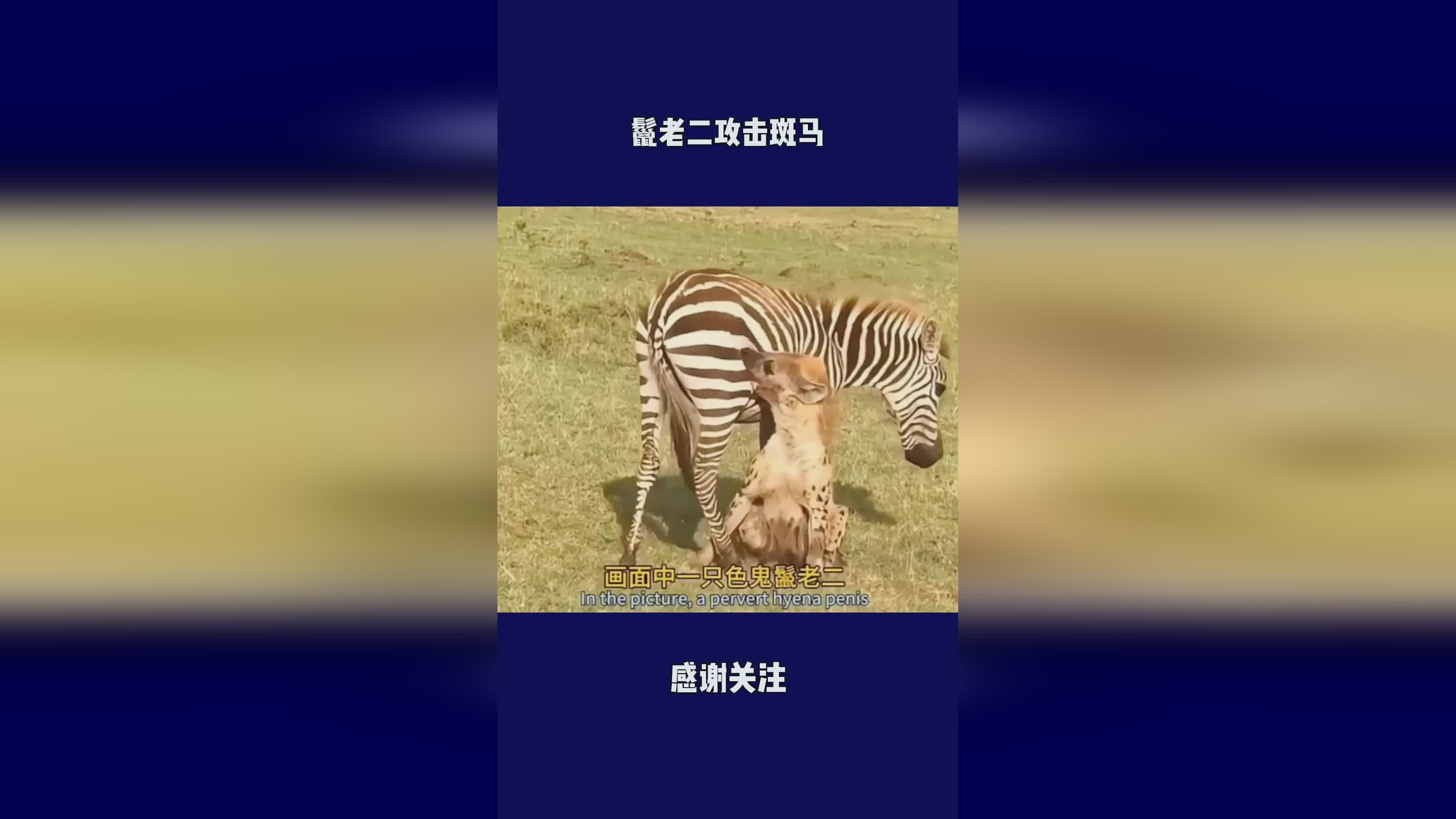 空雾峰：其实老二的攻击非常简单，腐蚀拳攻击范围非常的大