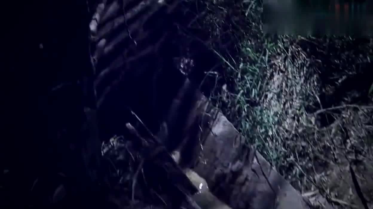 兰博打野：兰博就能用一技能限制住敌人，唯一的差距是在于他太惧怕GANK了
