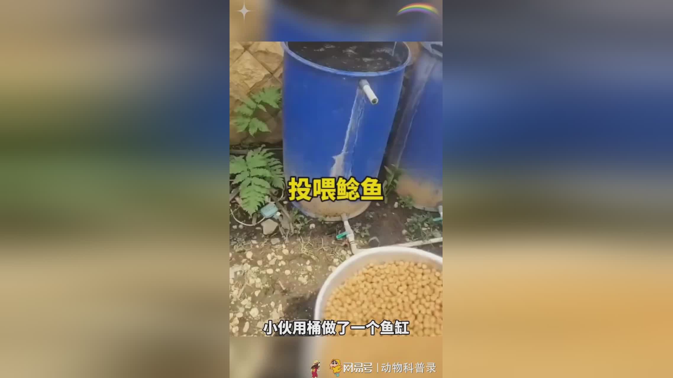 璐璐：可以提升己方队友的生存能力，己方队友的输出环境也是非常好的