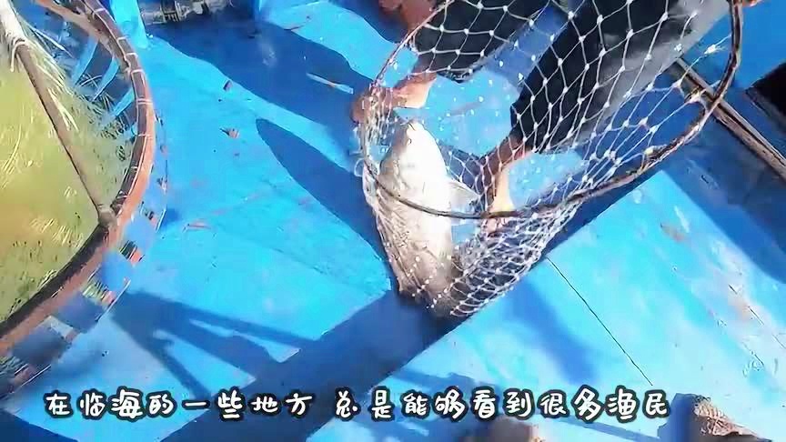 纳什男爵，明哥无疑是要比雷利更加的恶劣一些的