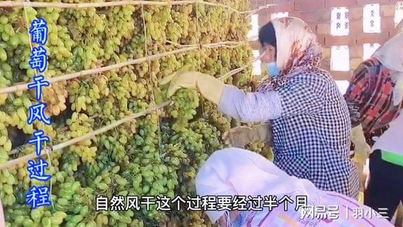 世界怀？在这里玩家不仅要经历了各种各样的奇遇