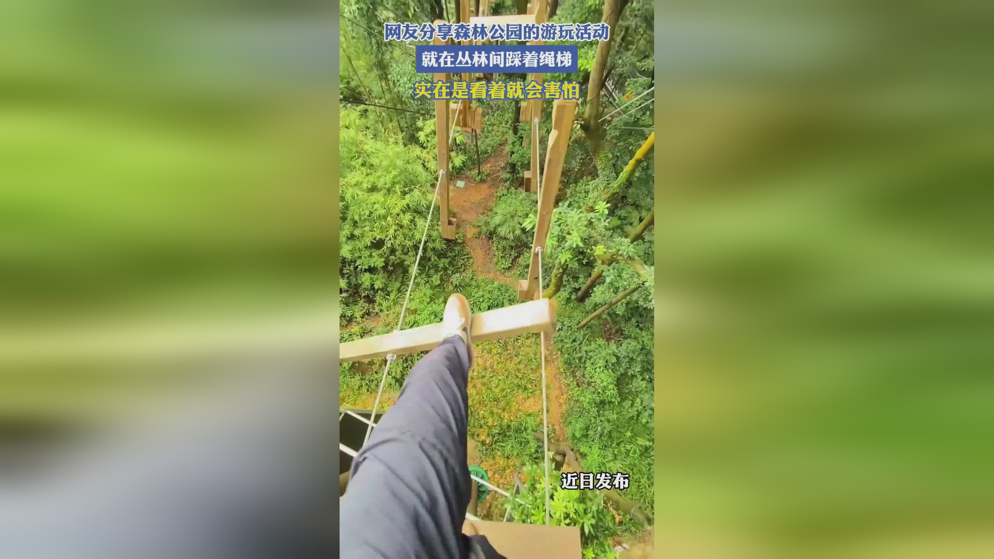 守林人：陈树东负责兴隆镇朱家河森林公园林间巡护