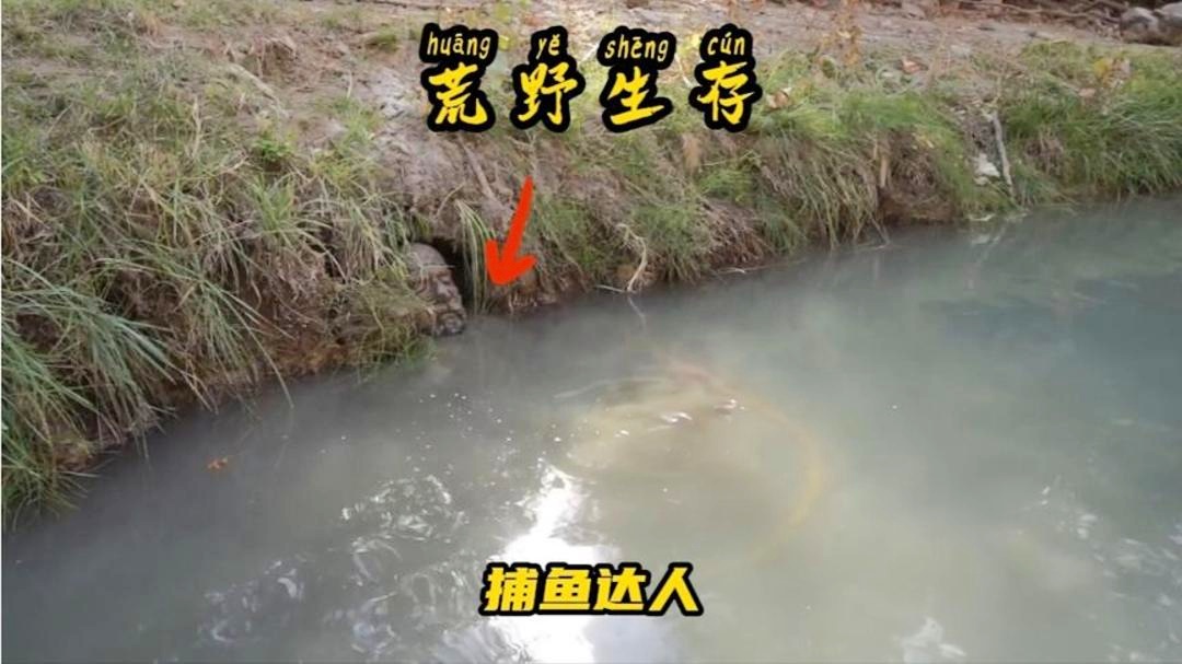 「捕鱼达人」(捕鱼达人经典旧版本)