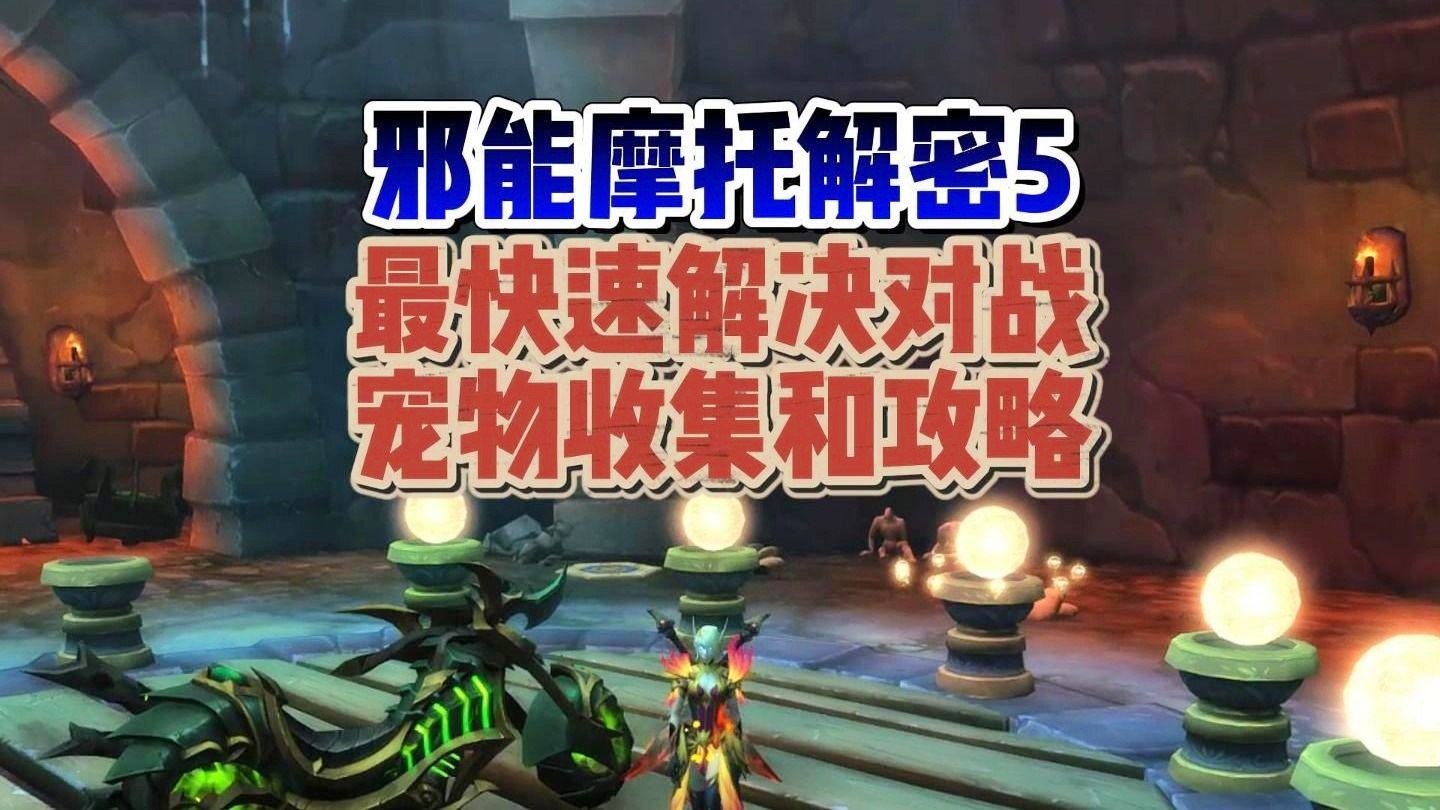 「宠物对战攻略」(宠物对战攻略游戏)