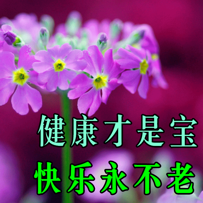 「动态图」(动态图片加特效)