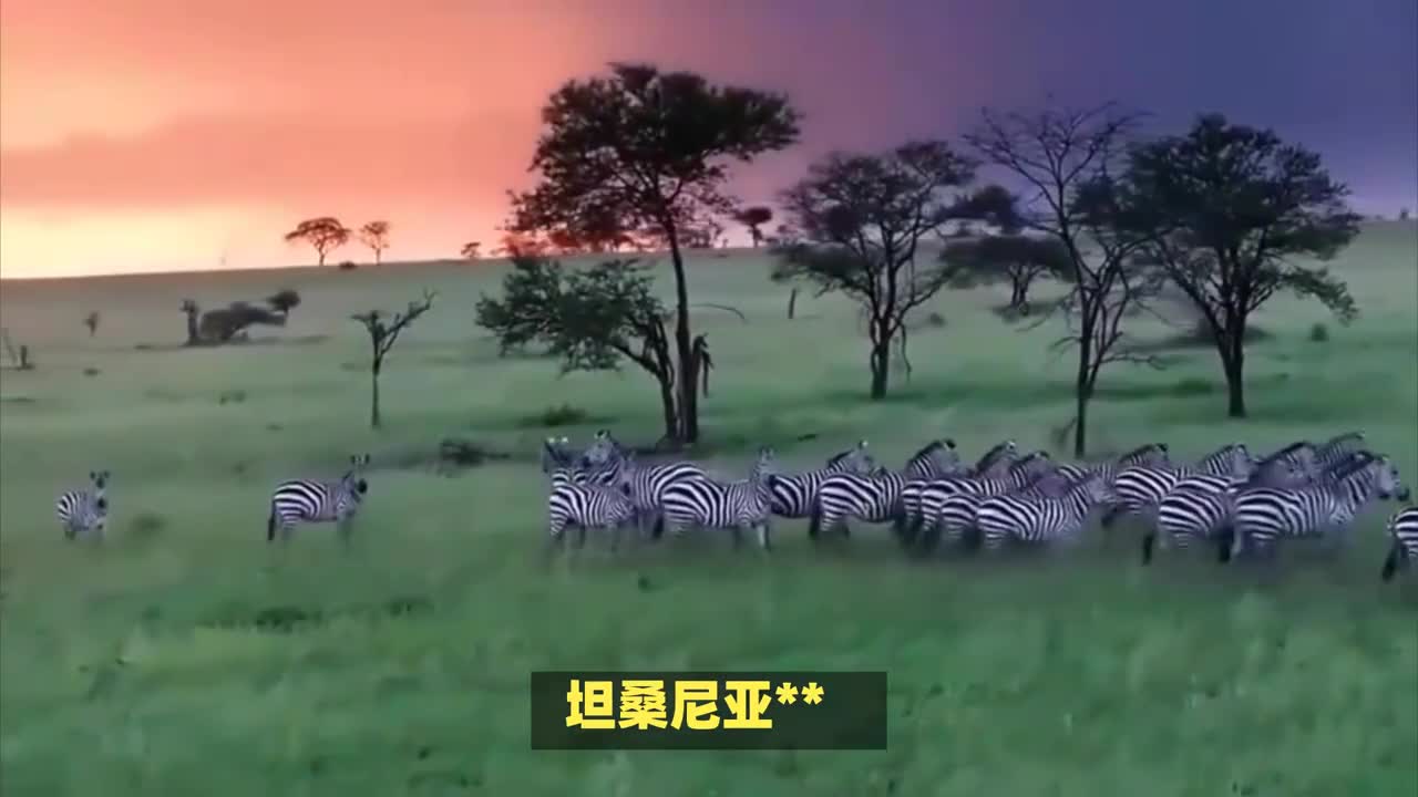 「枪战网游」(枪战网游排行榜前十名)