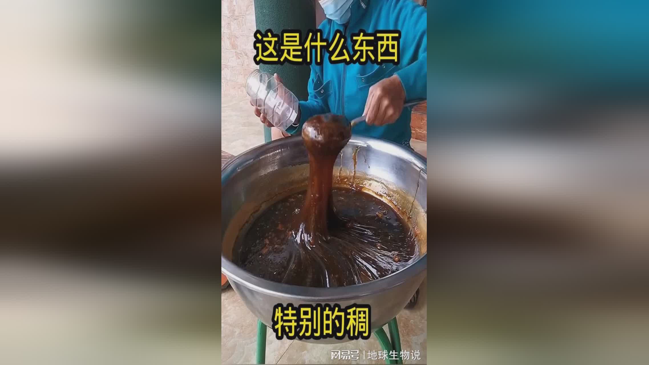 「忍者之印」(忍者之印是什么东西)
