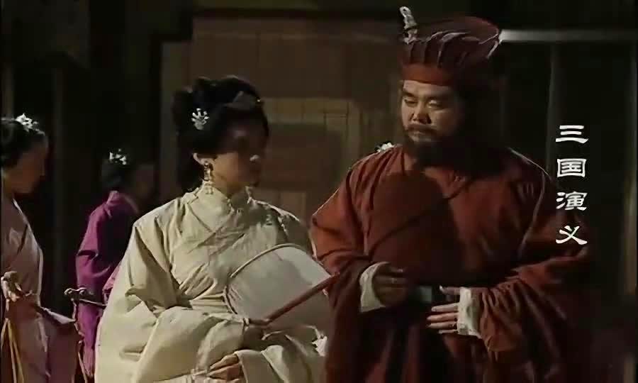 「三国2」(三国2010版电视剧演员表)