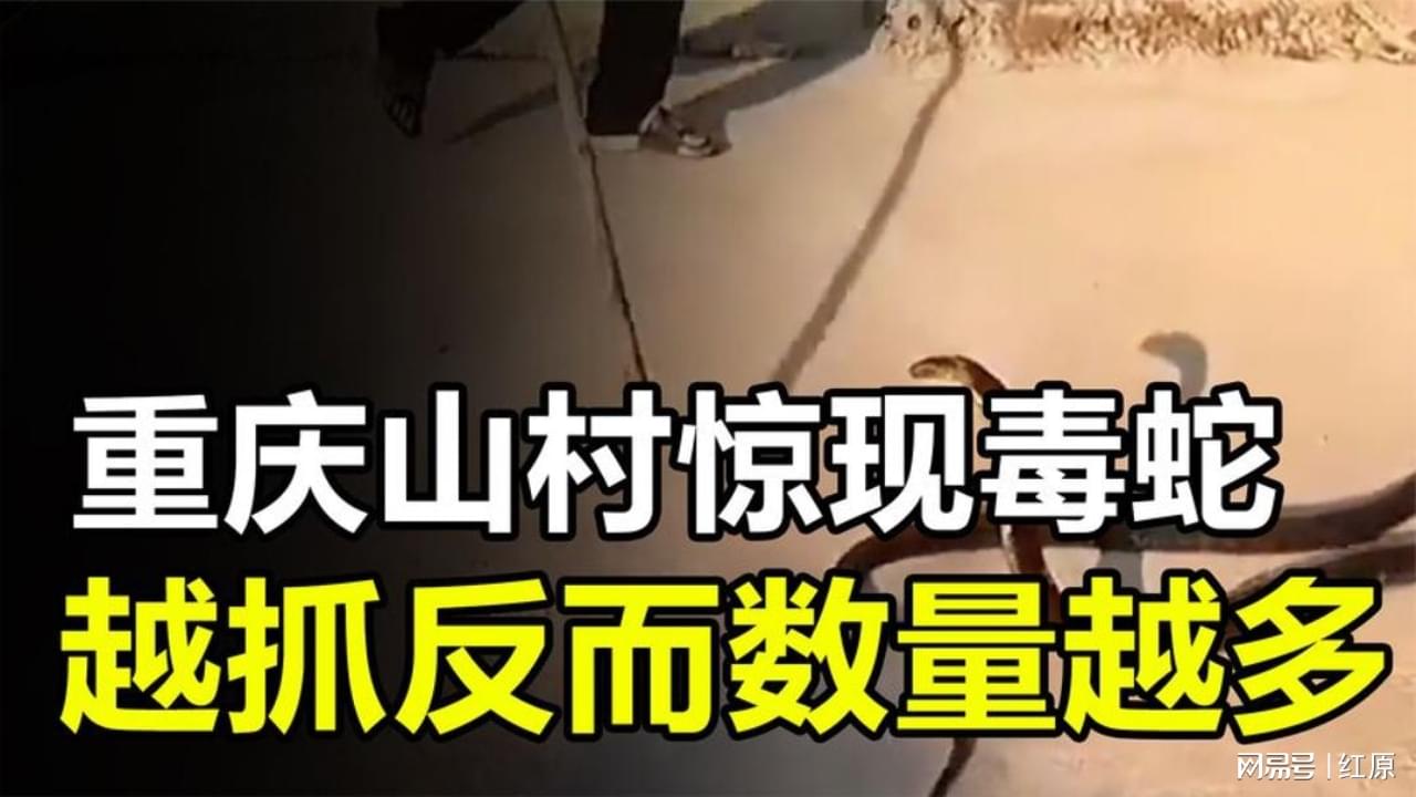 秦殇：隼剑的名字究竟是哪里来的呢，最后再说回隼剑和剑神这两兄弟