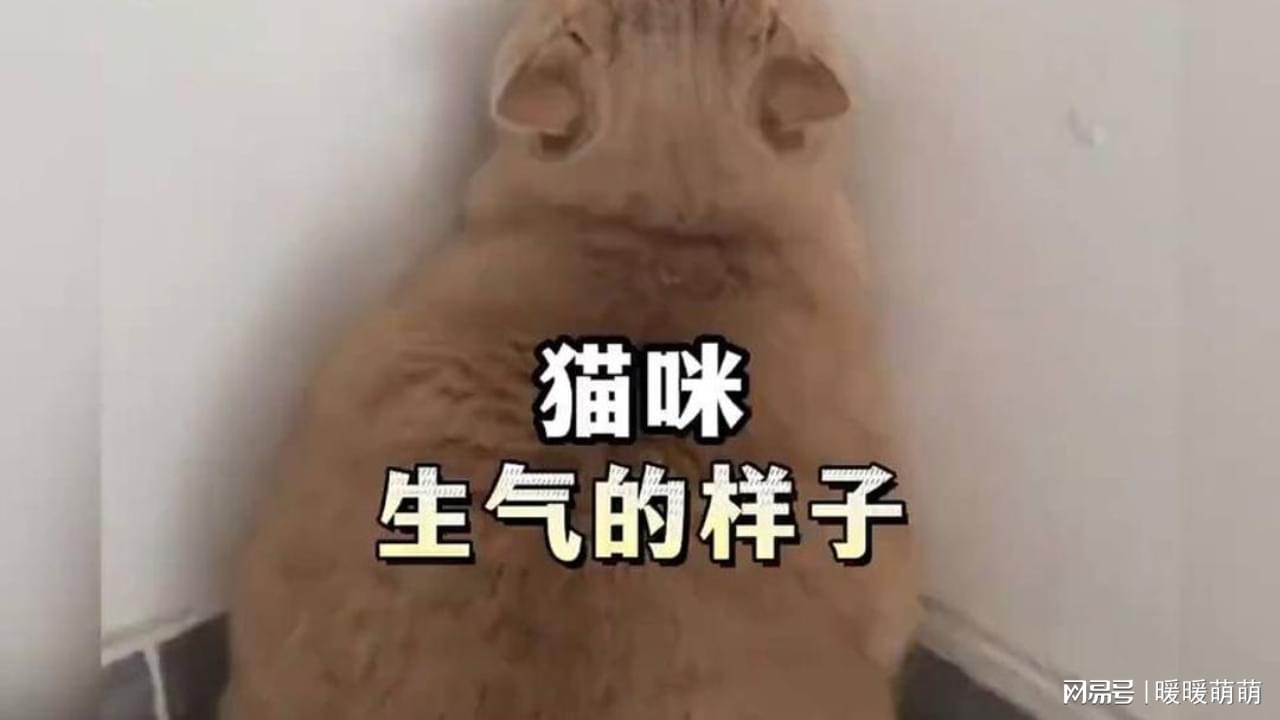 杀戮间？是这个杀怪的方式比较恐怖，整体看起来并没有让玩家很难受