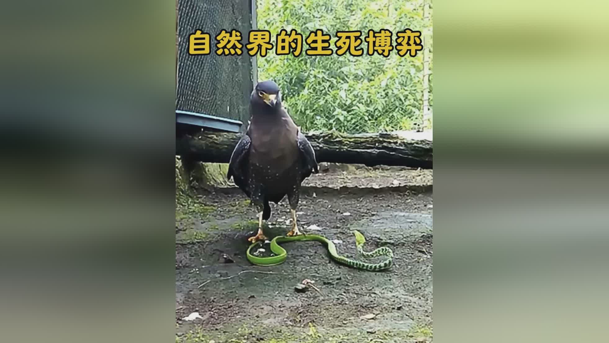 生存游戏_不断的升级装备和学习技能，玩家会明显感觉到人物和地图的变化很大
