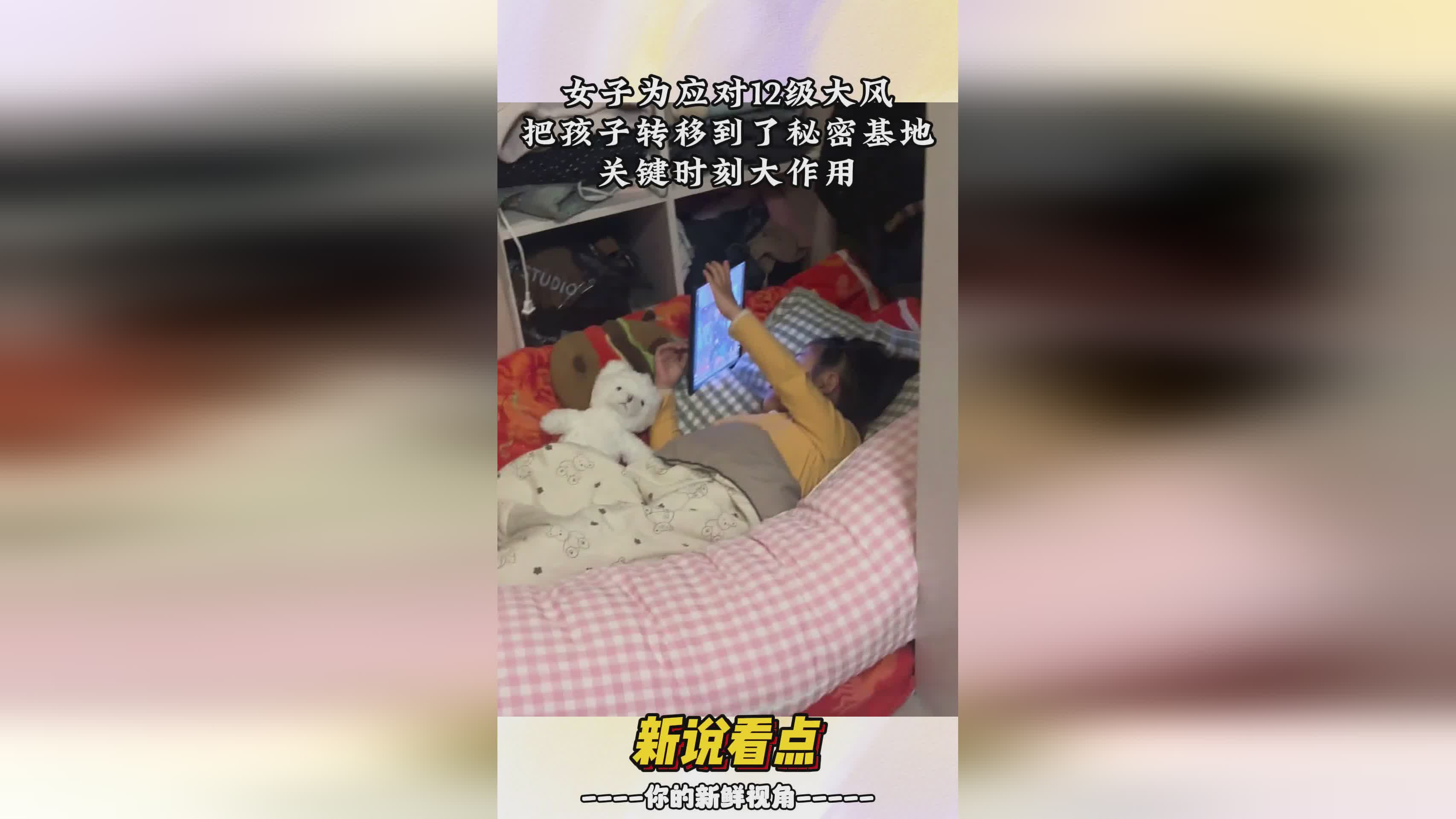托雷波尔：把DNA转移到了人体内，这些山猫已经被屋子里的孩子们遗弃了