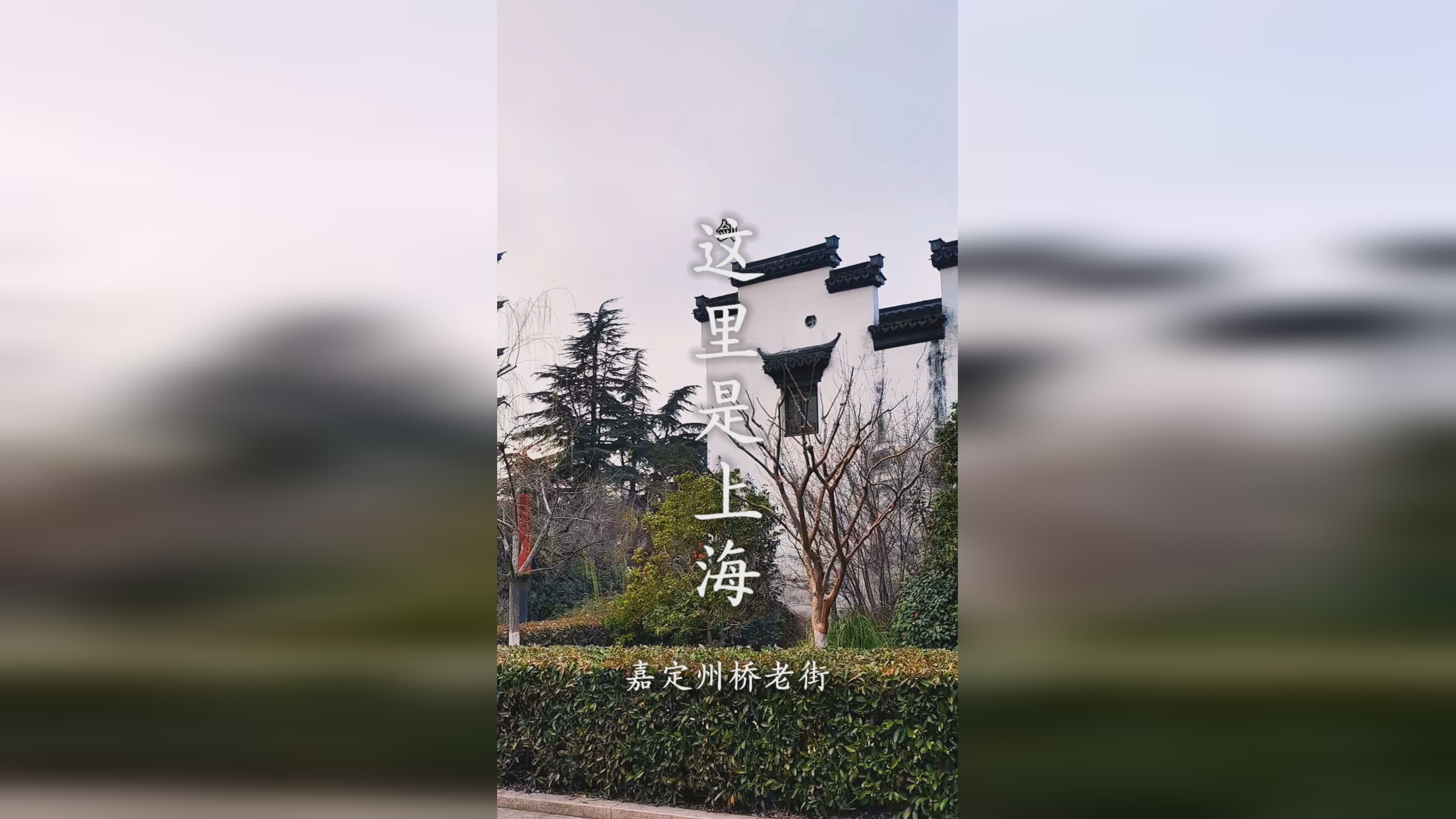 卧虎藏龙_感受这座上海的历史人文情怀，本期我们将一起走进章子怡