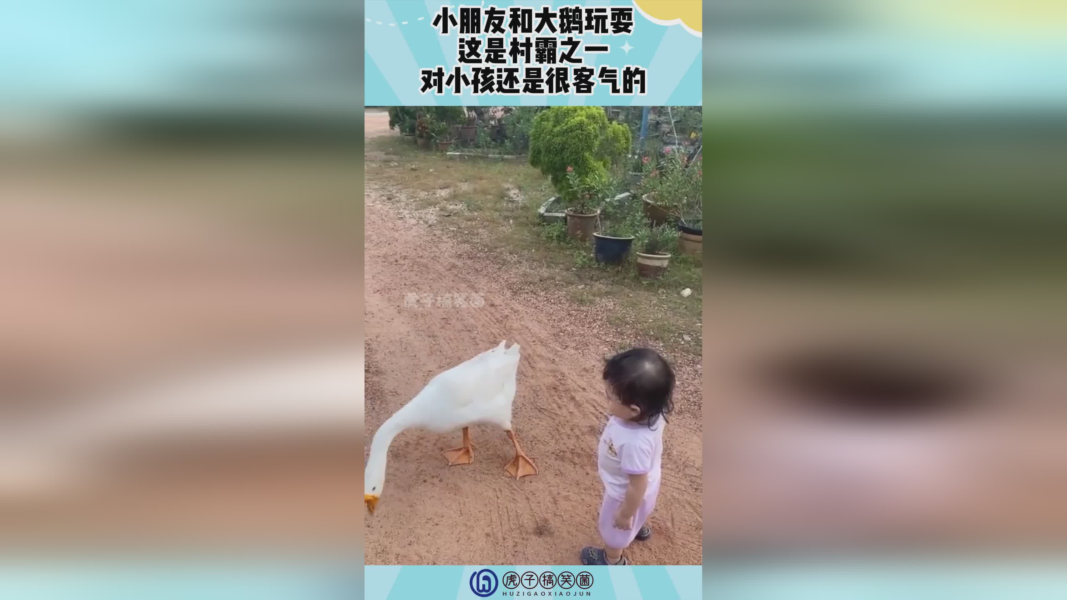 新笑傲江，这是根据PVP环境来的，迅捷之触对武器的收益还是很高的