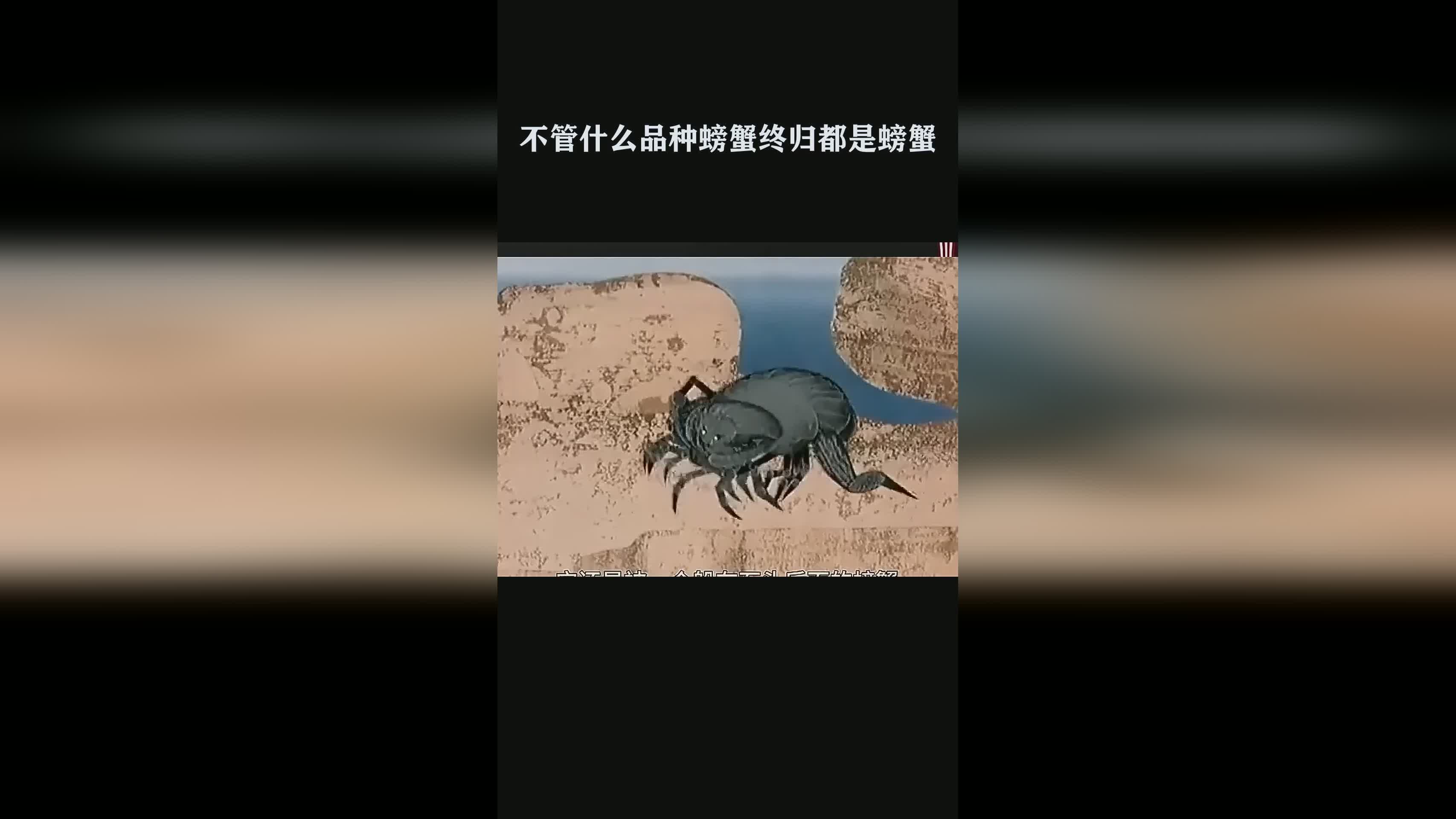「打螃蟹」(打螃蟹出什么装备)