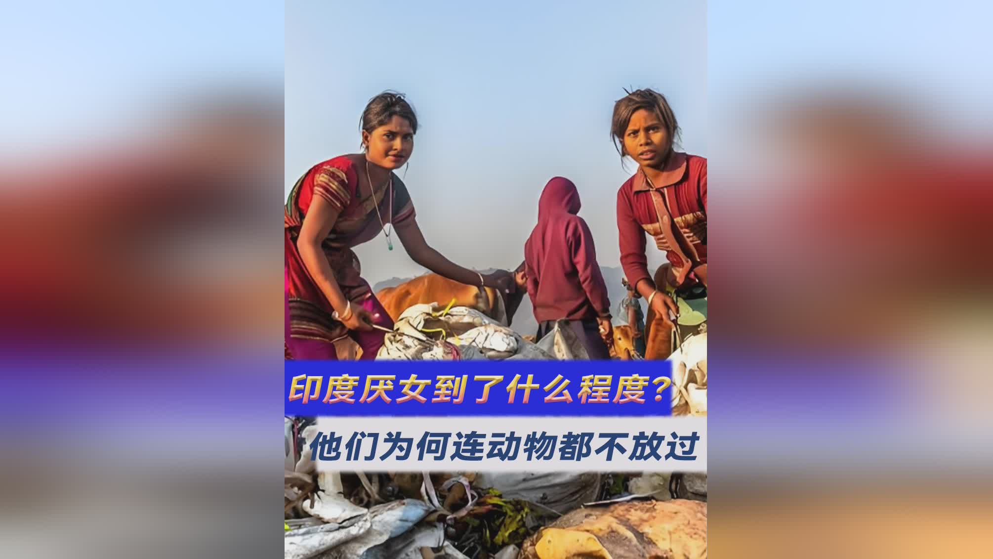 「放逐之城」(放逐之城牧场为什么养不了动物)