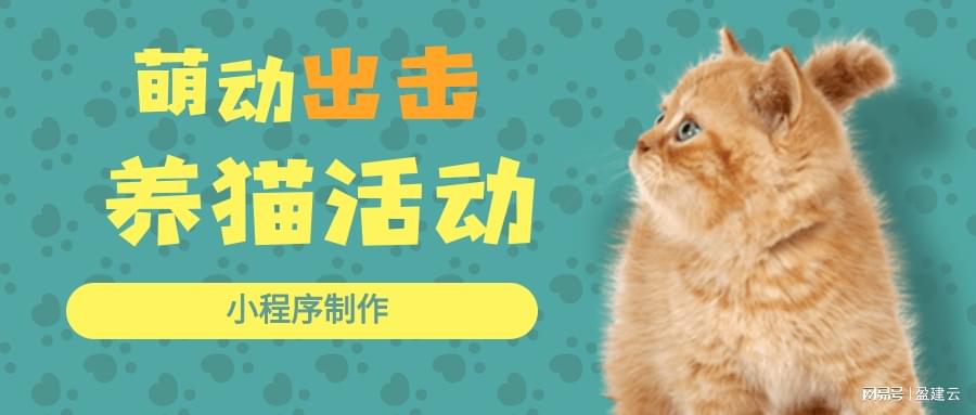 「零域」(零域幻想小程序兑换码)