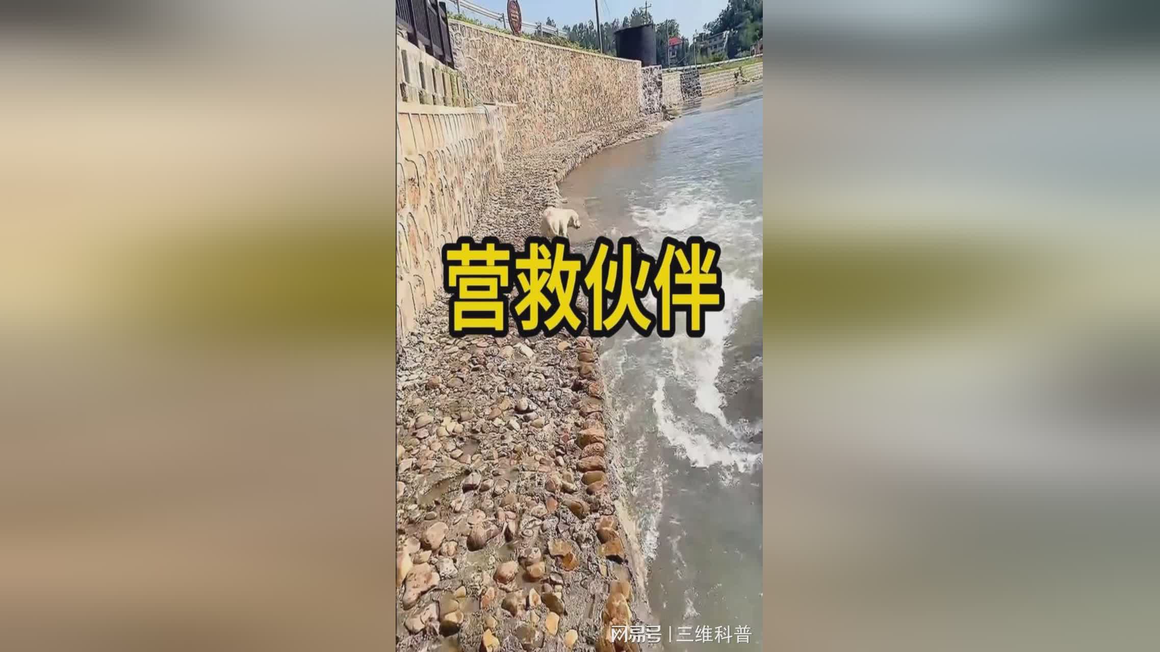 「冒险团」(我和我的冒险团)