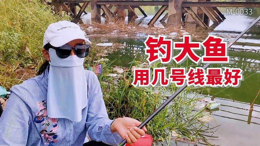 「主线2」(主线2.0配多大子线)