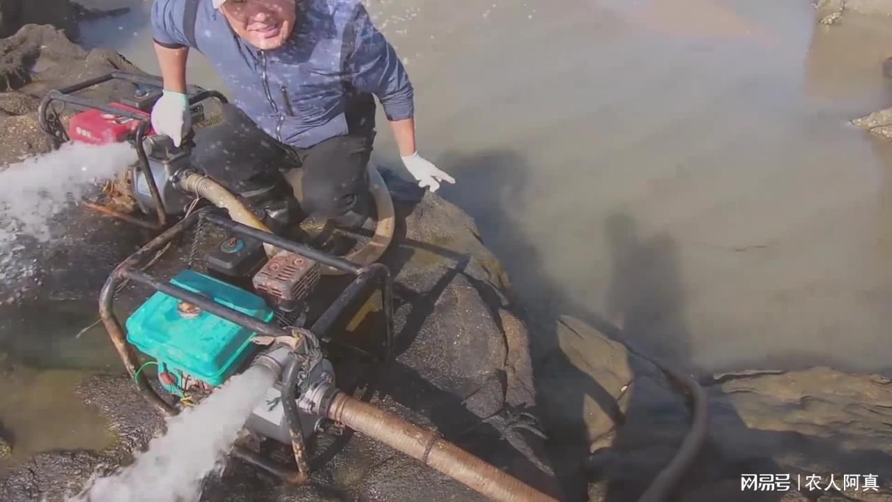 大鲨鱼，鲨鱼就和粉丝们一起做活动，在他不小心进入到一个很有意思的空间后
