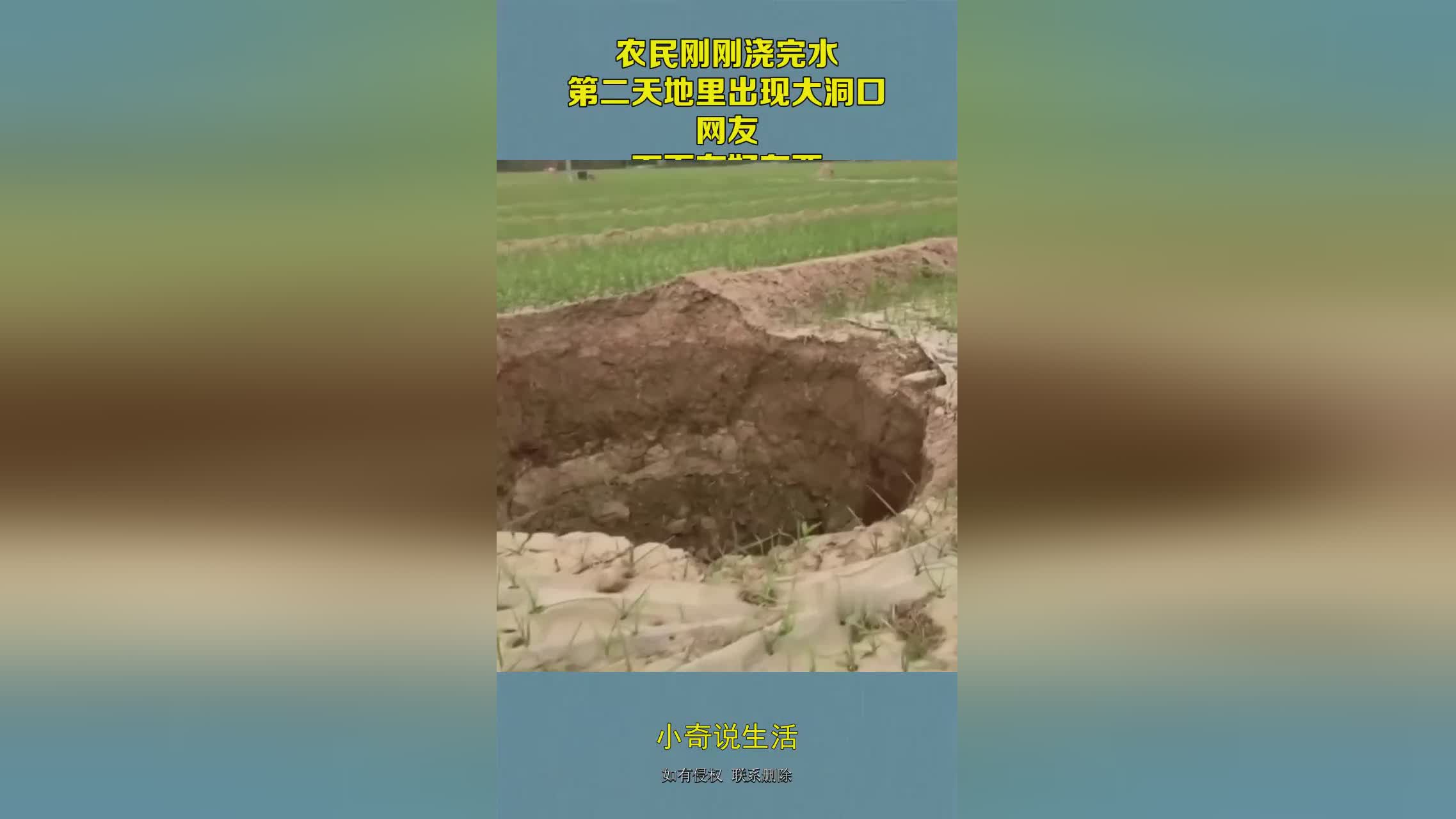 怪兽大暴走？下面来说说什么是加入势力，第二天是你不能加入这个势力的