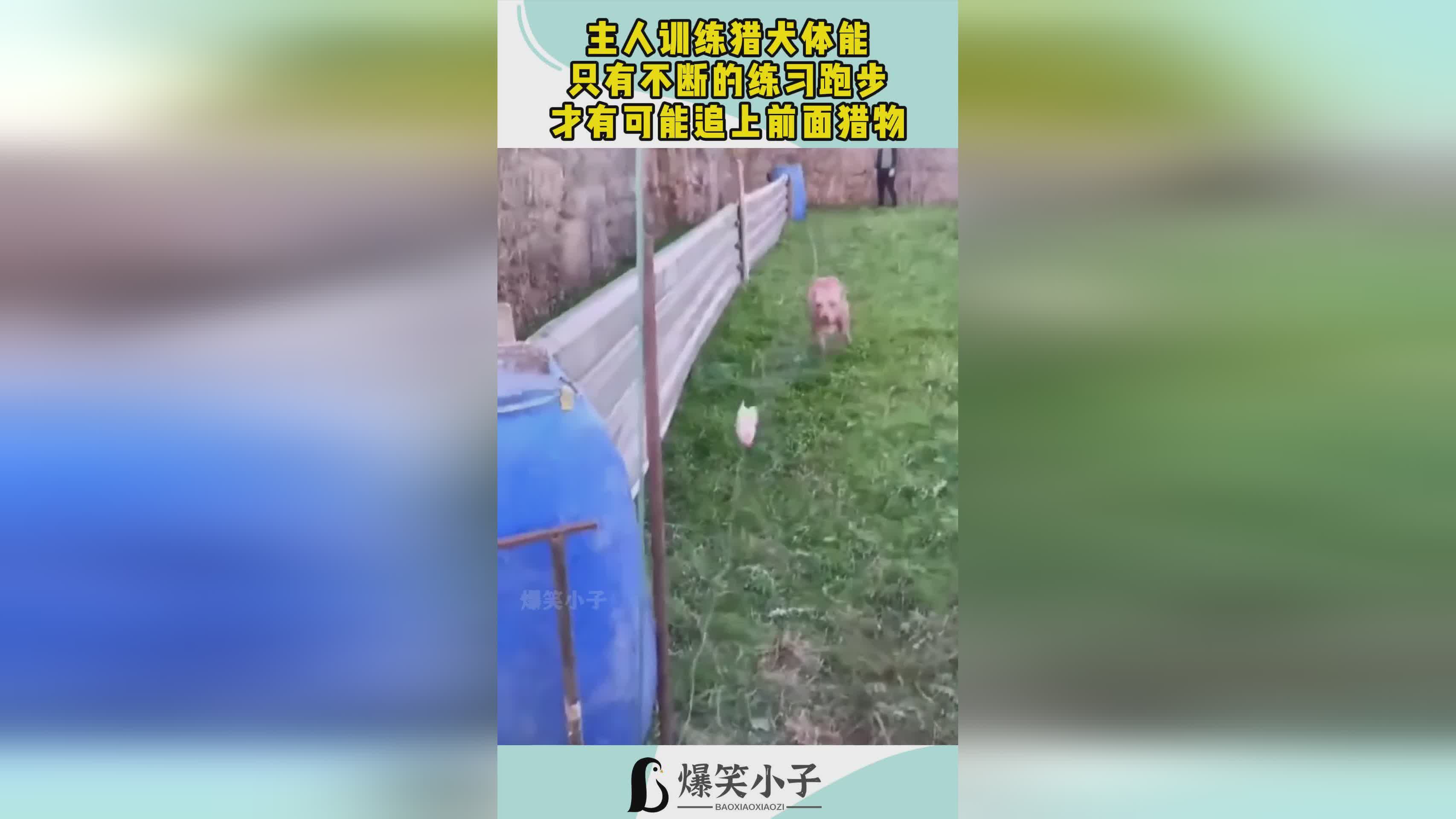 怪物攻城，那些秘藏猎物是不能放的，打穿塔罗牌才有可能获得