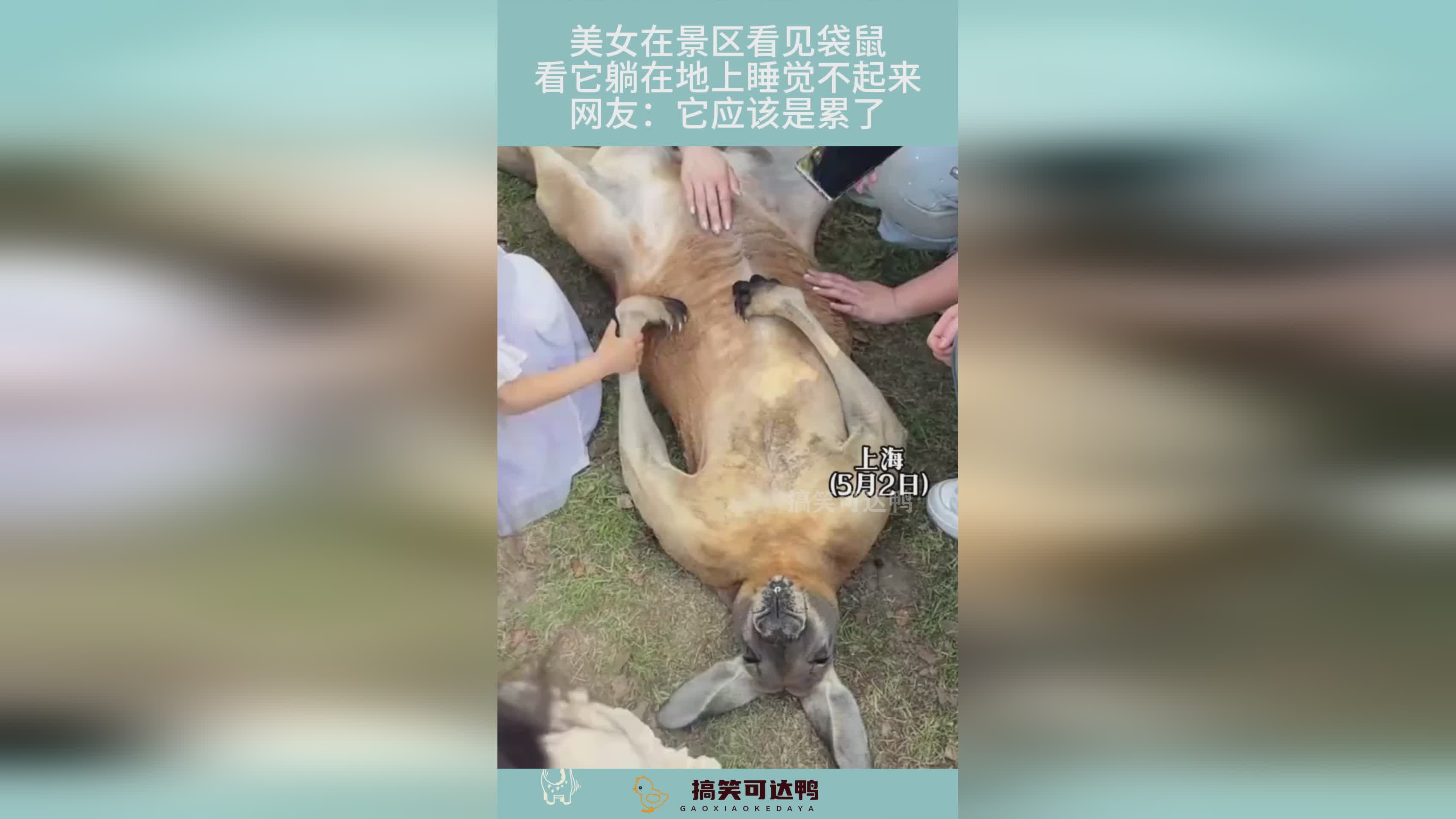 美女老师？伊瑞尔的实力应该是非常强的，平时的时候只是呆呆的看着
