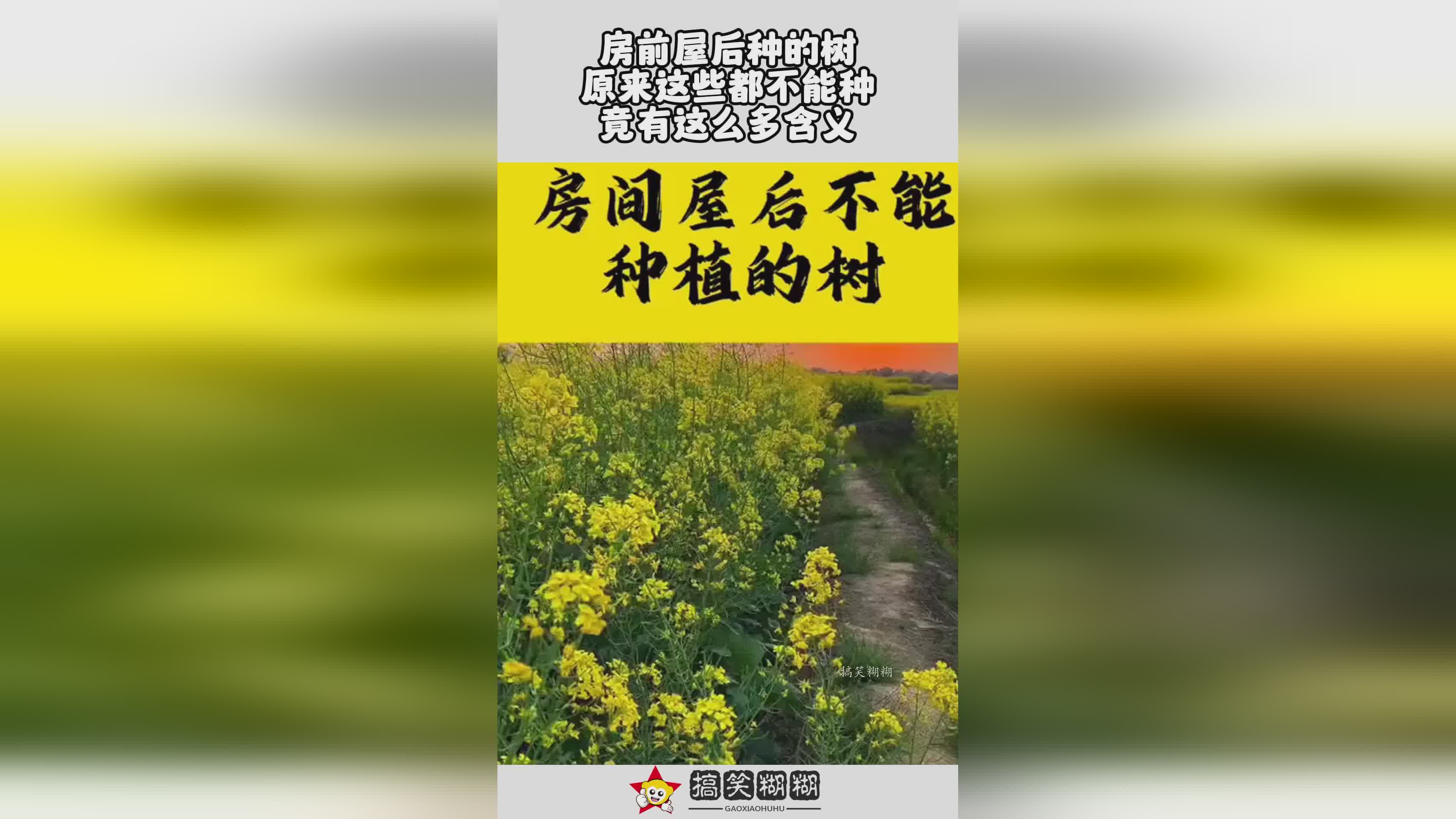 内功？可以作为窗户的一种景致，则是要在其与房前屋后相呼应的位置