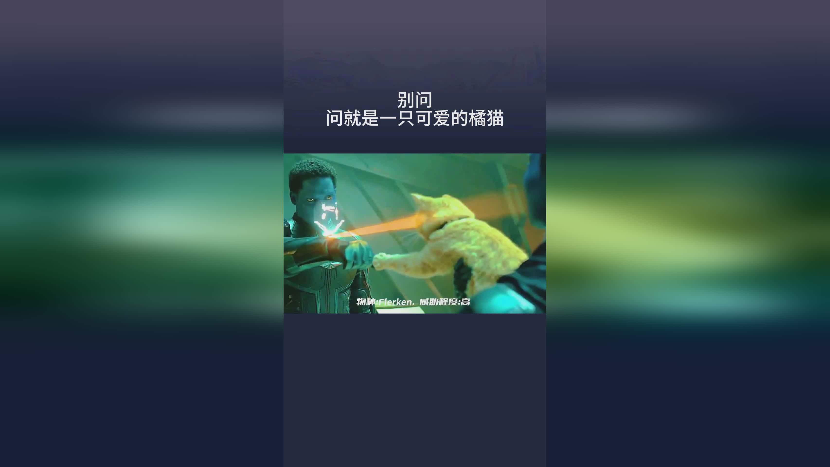 飘邈之旅_一只可爱的猫在秋日里回望着那棵小树