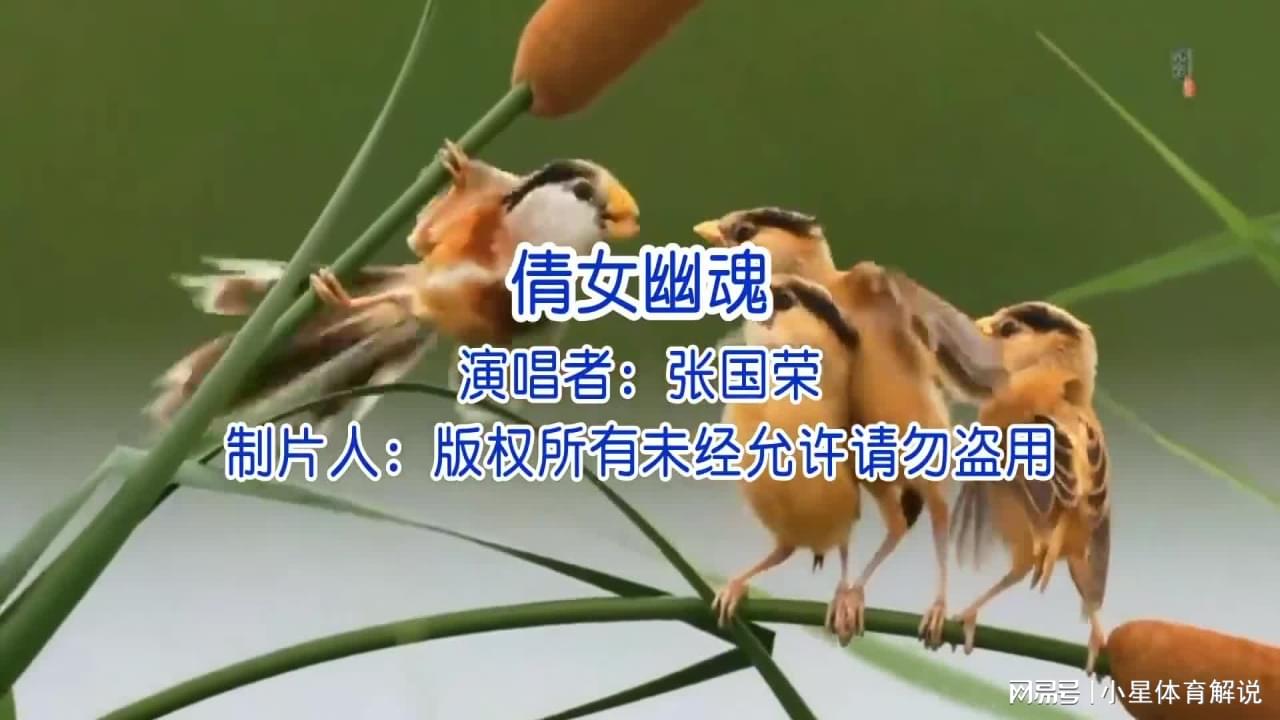 倩女幽魂：每个人都有初恋和恋爱的痛苦，在歌名和歌词中也就只字不提了