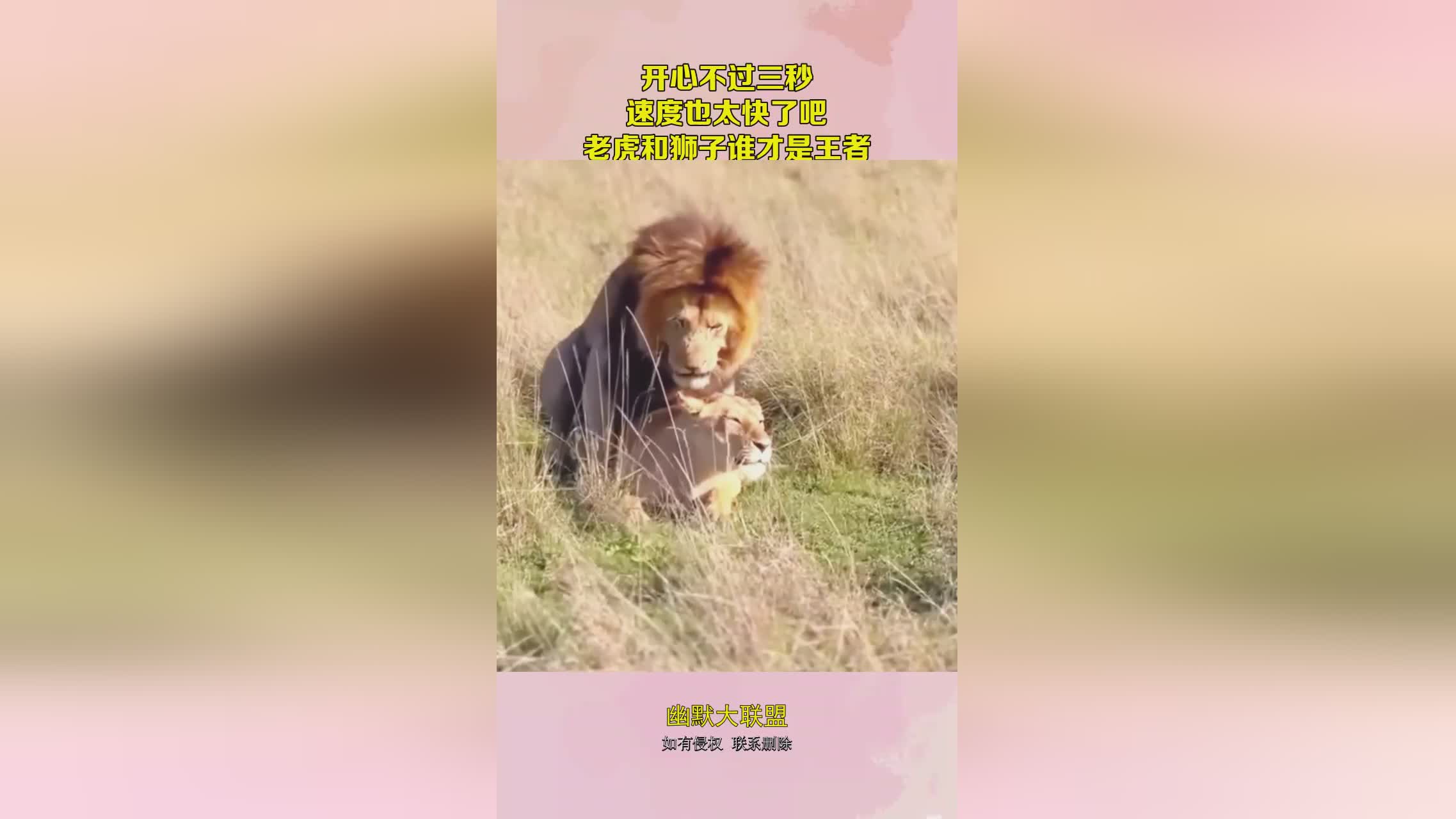 枪战王者：可能有人说现在的局数增长速度太快了