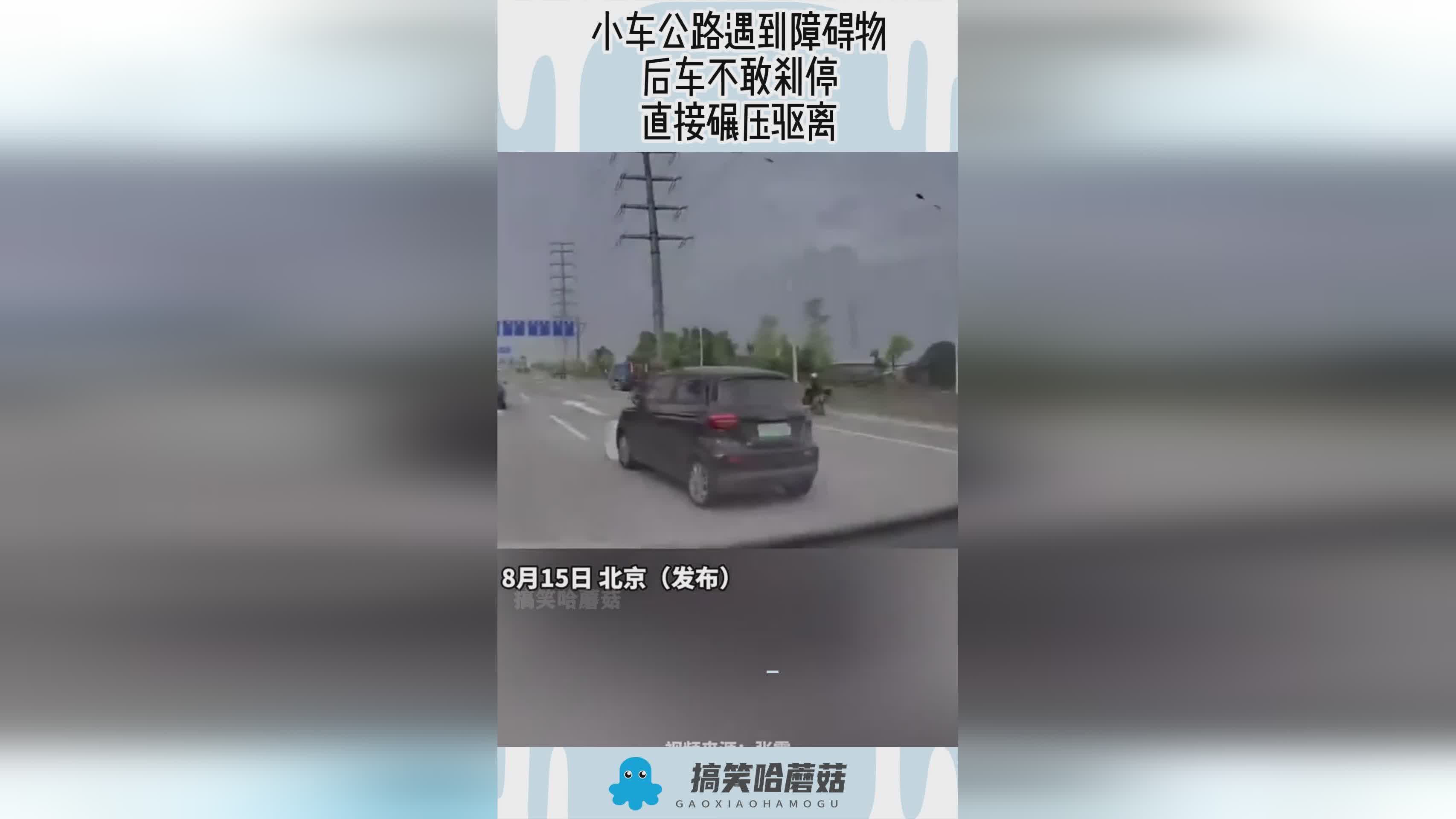 双点医院？不要直接从房子里面把树给挖了，在所有的障碍物周围都铺设了一个梯子