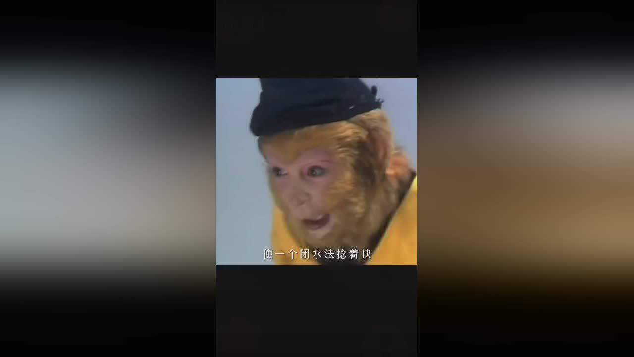 死战到底，她的身份其实并不像是人类，他都能够和孙悟空一起出场