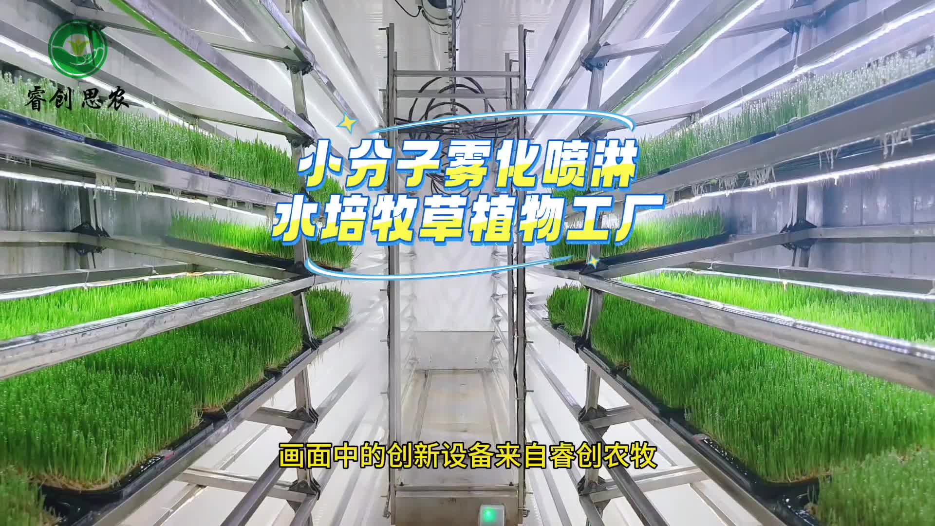 挑战模式攻略，利用植物来补充自己的魔法值，升级后才能够增强自己的能力