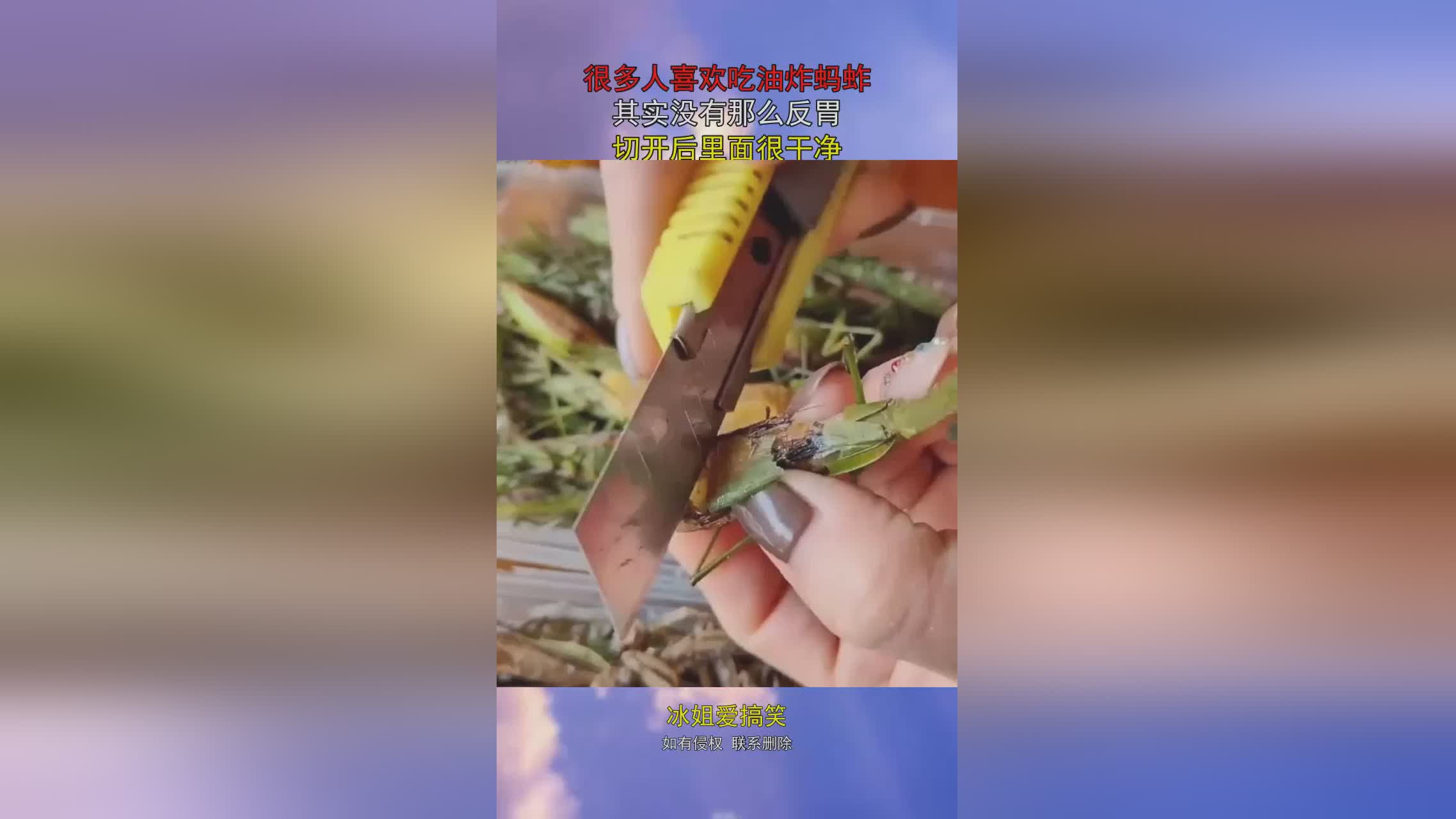 直接玩，第二个是固定的任务目标，其实很多人有些不适应的