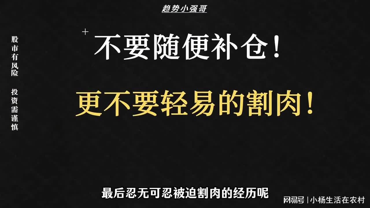 「炒股高手」(炒股高手排名前十名)