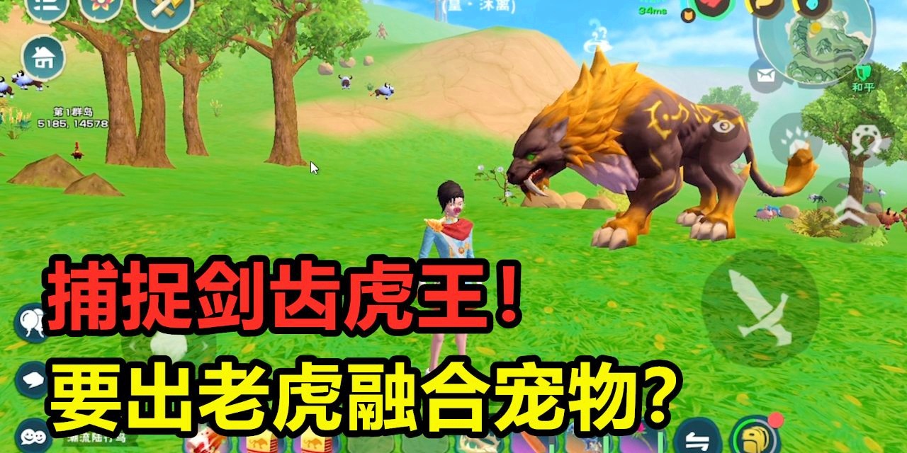 「创造与魔法」(创造与魔法宠物融合表)