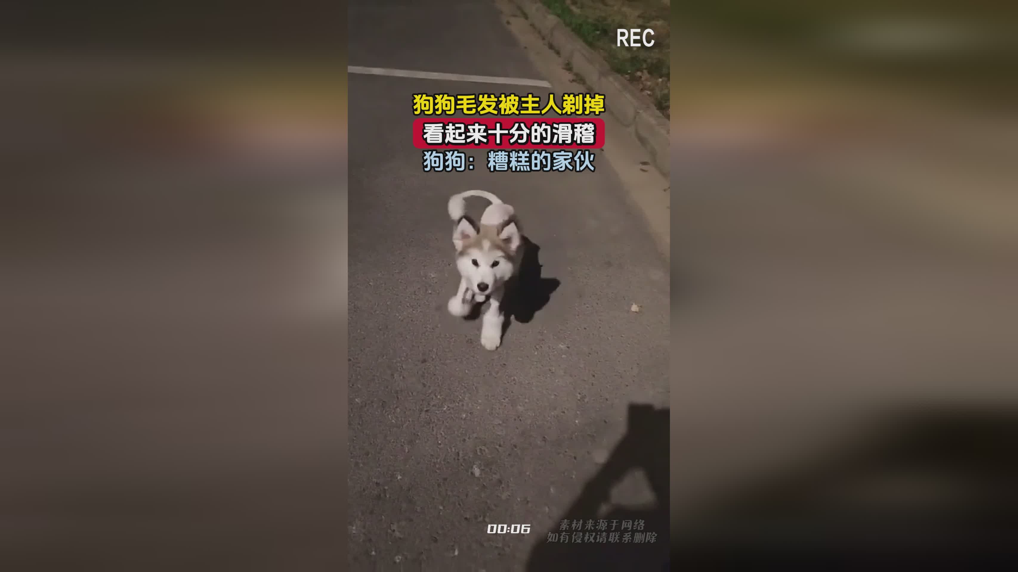 moba手游：这是一款看起来十分新奇的游戏