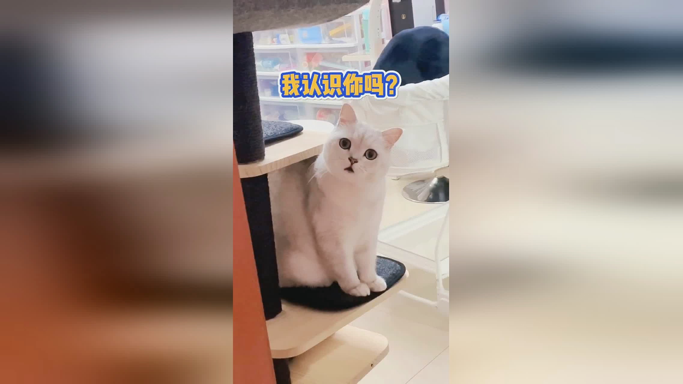 奥拉夫打野：可能有些玩家在使用对抗路英雄的时候