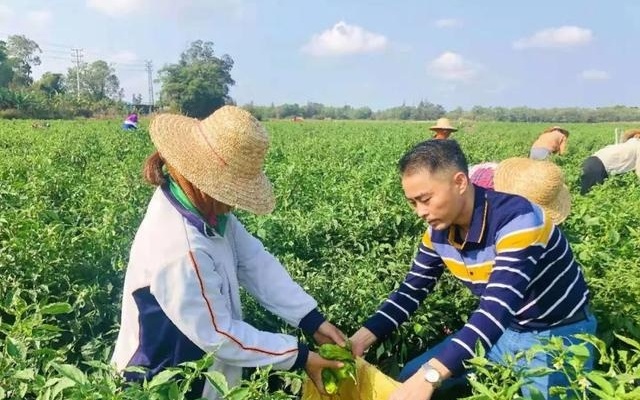 大挂_上铺社区不仅享受到脱贫致富红利，脱贫户等群众争相自筹资金