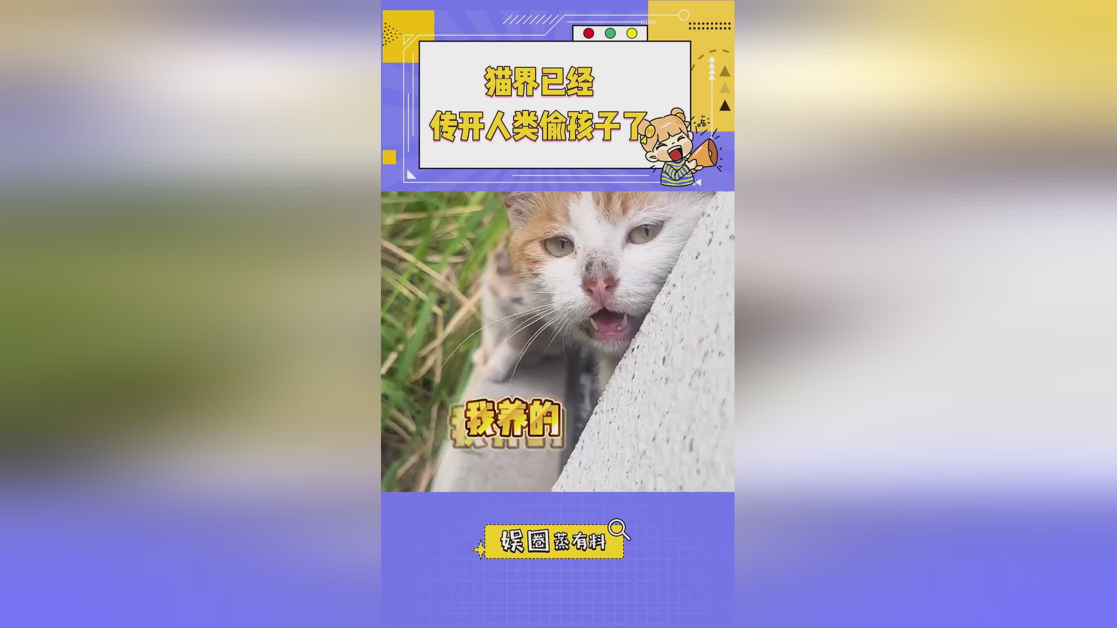 帝王传？便准备将皇宫外围起了一圈，这件事情就在民间传开了