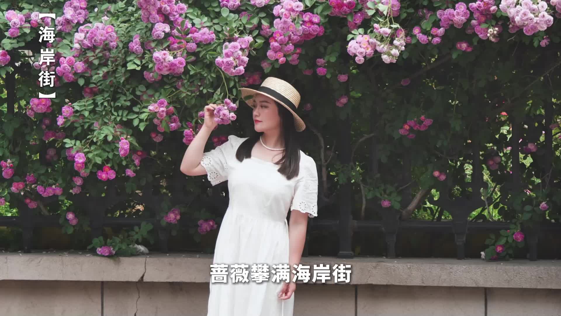 多多自走棋？让小编带您一起享受正版多多自走棋吧