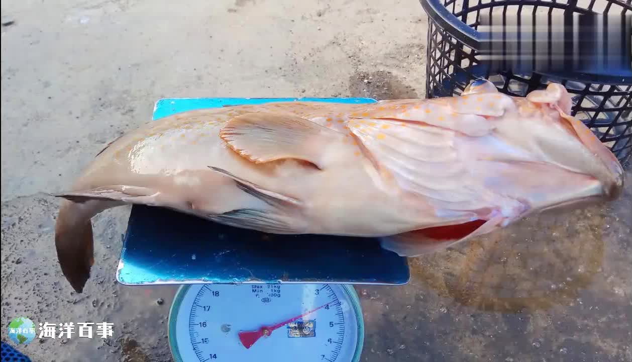 光之路？右边的车流相对来说就慢一些，上百米的阶梯就这样开启了