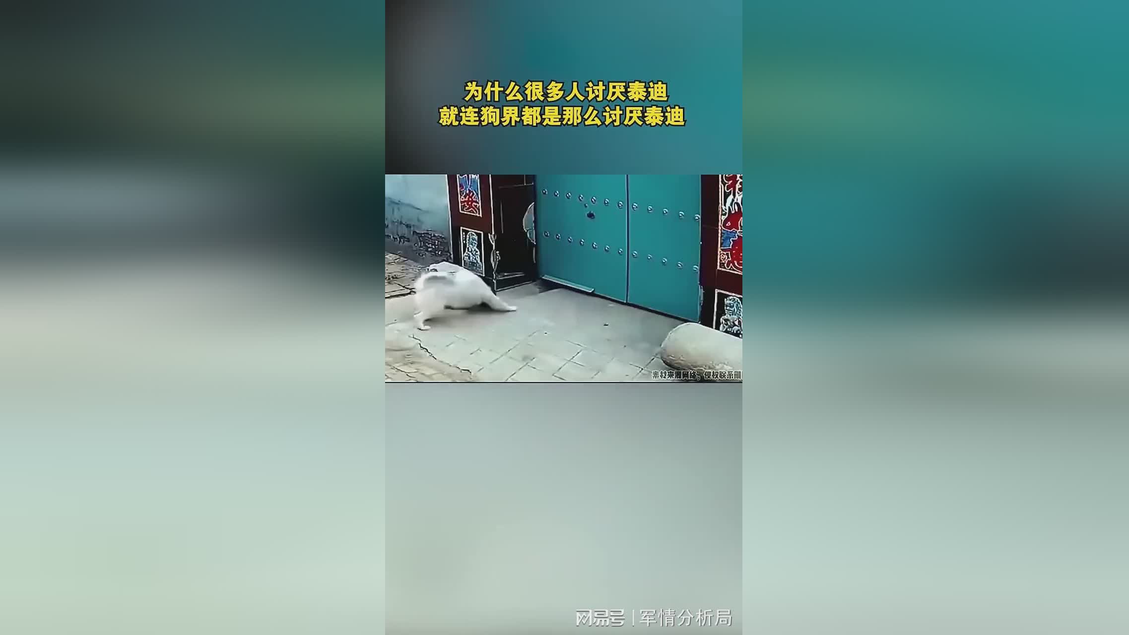 豪鬼：为什么他还要留在鬼之岛抓狂的闹鬼呢，有很多人都觉得这是一件很可怕的事情