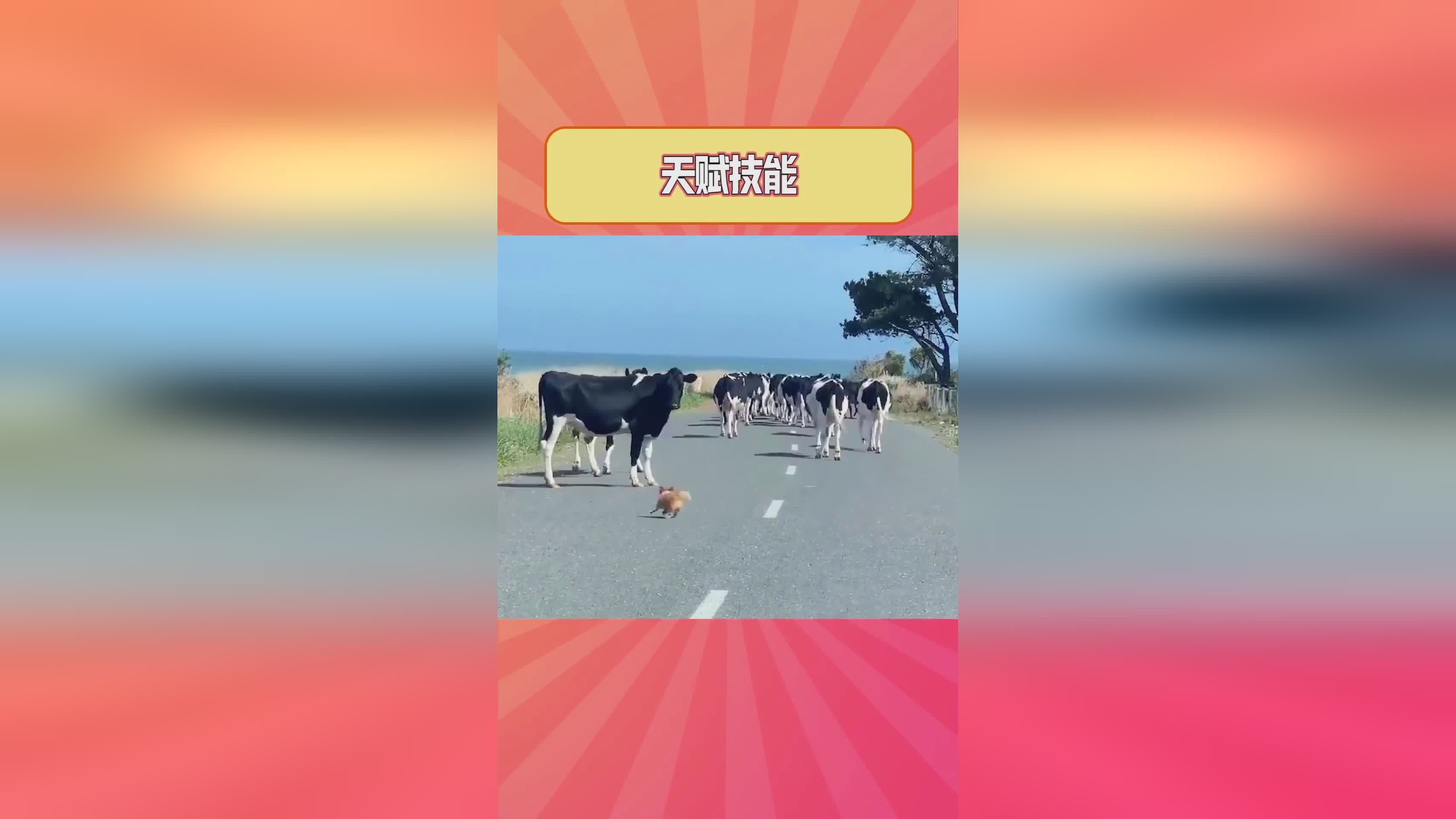 毁灭术士天赋？她的被动回复效果高达120，这个技能可以说是一个比较稳定的控制技能